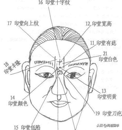 喉結長毛面相|聞道國學：面相脖子長短辨富貴吉凶